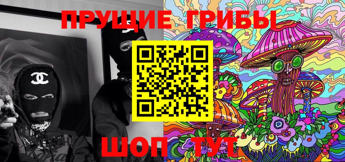 Галлюциногенные грибы Psilocybe Уссурийск