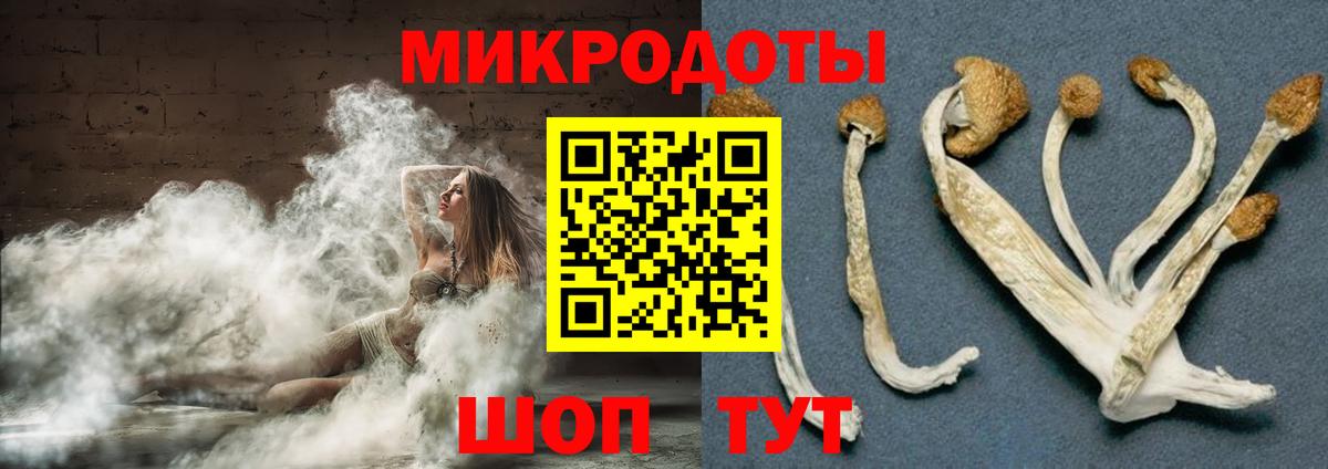 где найти   Вход с VPN  Уссурийск  Галлюциногенные грибы Cubensis 